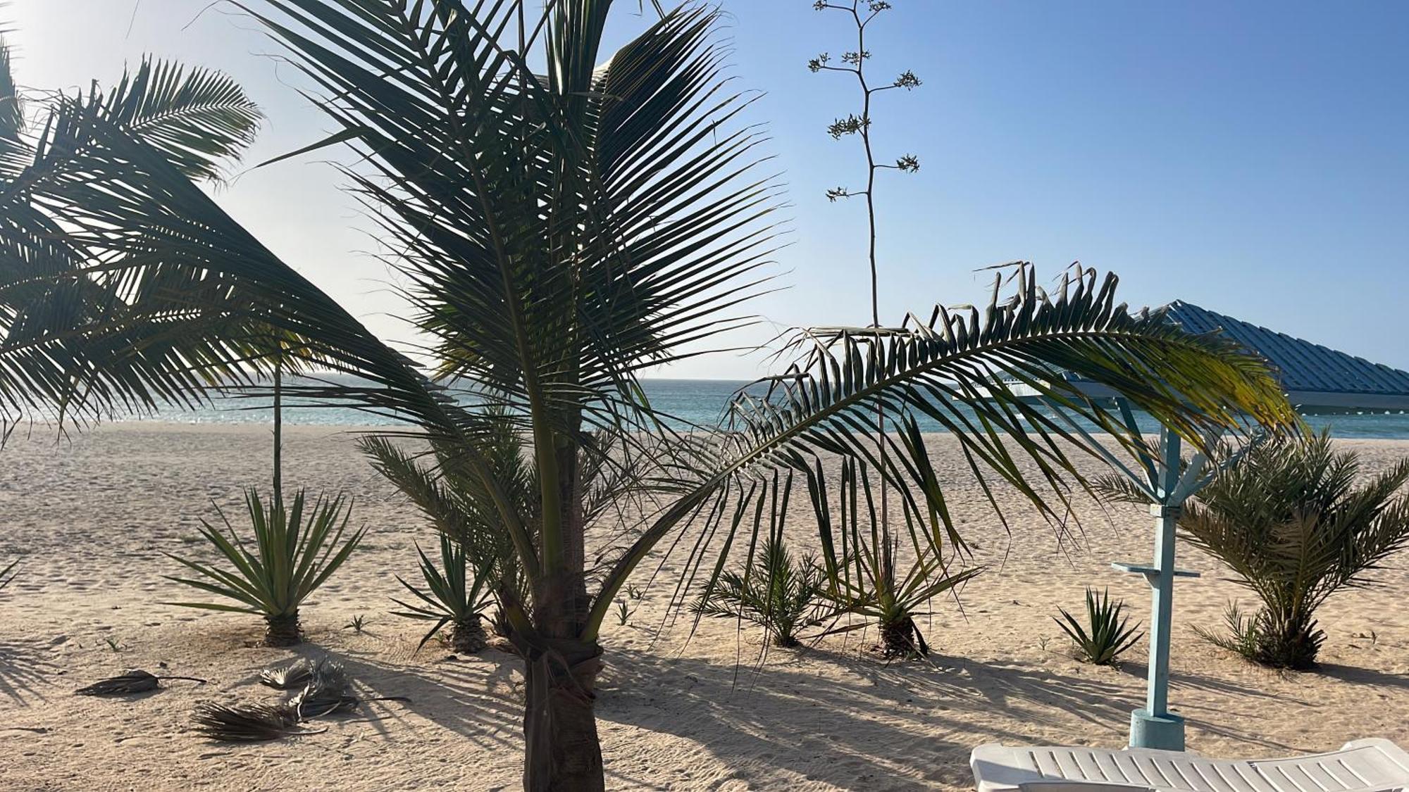 سال راي Luxury Beach Villa, Praia De Chaves, Boa Vista المظهر الخارجي الصورة